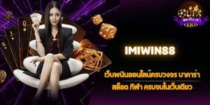 IMIWIN88
